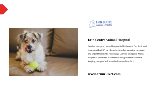 Erin Centre Animal Hospital
