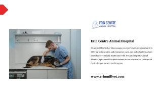 Emergency Animal Hospital Mississauga