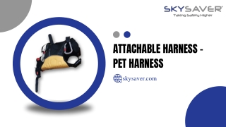 Attachable Harness – Pet Harness (1)