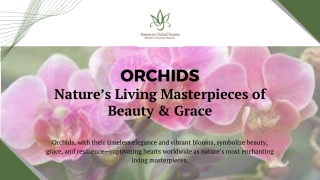 Orchids Nature’s Living Masterpieces of Beauty and Grace