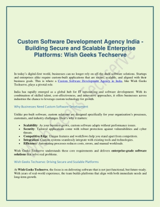 Custom Software Development Agency India - Building Secure and Scalable Enterprise Platforms