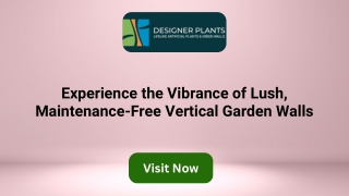 Experience the Vibrance of Lush, Maintenance-Free Vertical Garden Walls