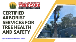 Certified Arborist Services For Tree Health And Safety