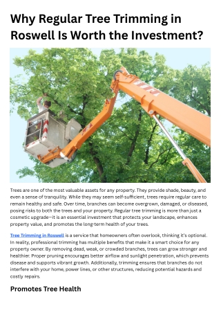 Why Regular Tree Trimming in Roswell Matters for Homeowners?