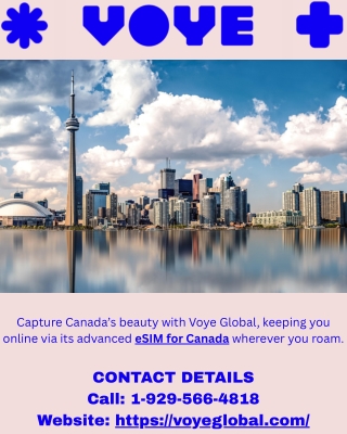 Connect Across Canada with Voye Global