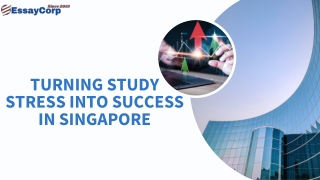 Turning Study Stress into Success in Singapore