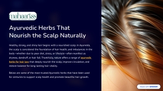Ayurvedic Herbs That Nourish the Scalp Naturally