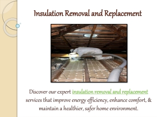 Insulation Removal and Replacement