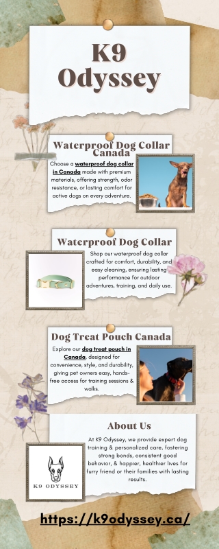 Waterproof Dog Collar Canada