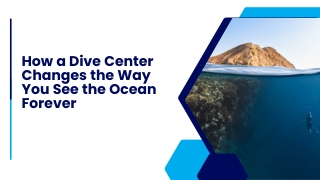 How a Dive Center Changes the Way You See the Ocean Forever