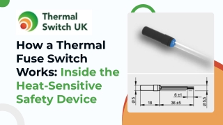 How a Thermal Fuse Switch Works Inside the Heat-Sensitive Safety Device