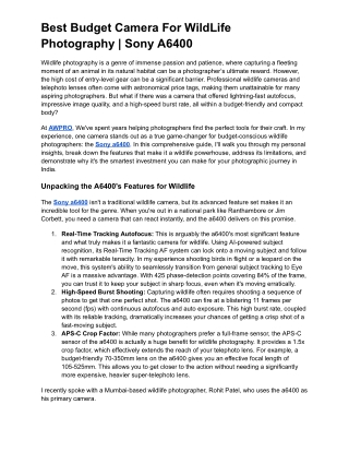 Best Budget Camera For WildLife Photography _ Sony A6400