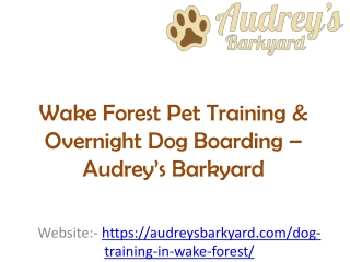 Wake Forest Pet Training & Overnight Dog Boarding – Audrey’s Barkyard