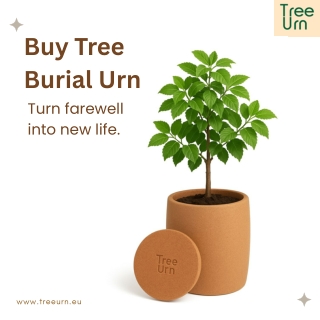 treeurn pdf Buy Tree Burial Urn