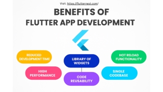 Top Flutter Advantages Every Business Should Know