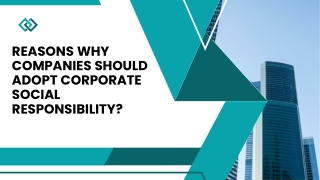 Reasons Why Companies Should Adopt Corporate Social Responsibility