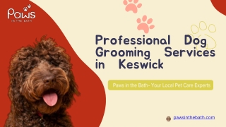 Toronto's Best Dog Groomers | Paws in the Bath