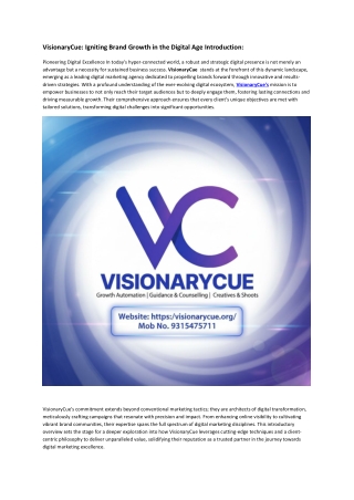 VisionaryCue is a dynamic digital marketing agency