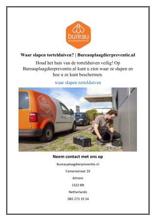 Waar slapen tortelduiven? | Bureauplaagdierpreventie.nl