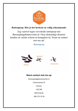 Rattenpoep: Hoe je het herkent en veilig schoonmaakt