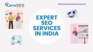 Expert SEO Services in India - www.anaseoservices.com
