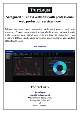 Safeguard business websites with professional web protection services now
