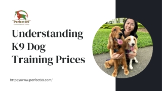 Understanding K9 Dog Training Prices