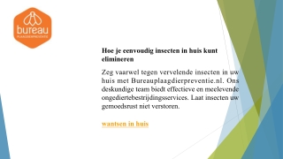 Hoe je eenvoudig insecten in huis kunt elimineren