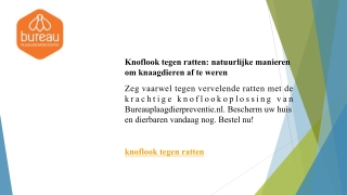 Knoflook tegen ratten natuurlijke manieren om knaagdieren af ​​te weren