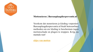 Motteneieren  Bureauplaagdierpreventie.nl