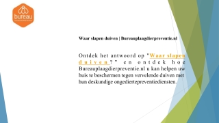 Waar slapen duiven  Bureauplaagdierpreventie.nl