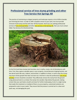 Professional service of tree stump grinding and other Tree Service Hot Springs