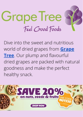 Moringa – The Green Superfood for Vitality and Wellness