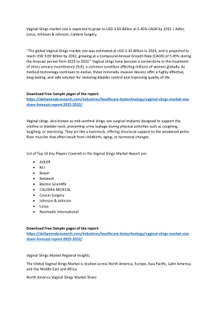 Vaginal Slings Market 2025-2032