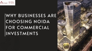 Why Businesses Are Choosing Noida for Commercial Investments