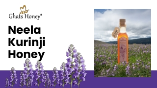 The Exceptional 12 years once Neela kurinji and The Liquid Gold – Kurinji Honey