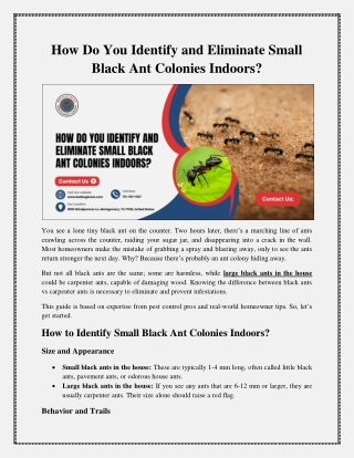 What You Need to Know Before Hiring an Exterminator in Texas