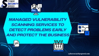 Managed Vulnerability Scanning Services