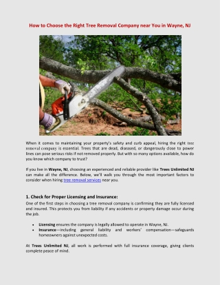 How to Choose the Right Tree Removal Company
