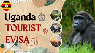 Essential Tips for Your Uganda Tourist eVisa