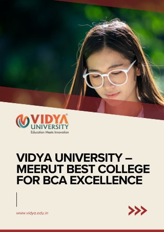 Vidya University – Meerut Best College for BCA Excellence