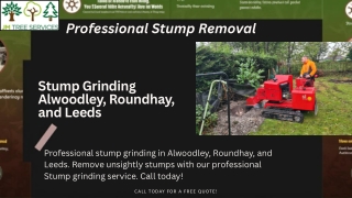 Stump Grinding Alwoodley, Roundhay, and Leeds