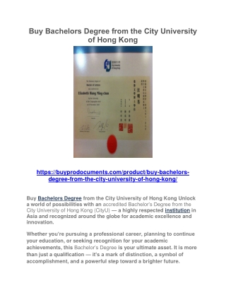 Bachelors Degree from the City University of Hong Kong