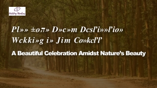 Plan a Dreamy Destination Wedding in Jim Corbett National Park