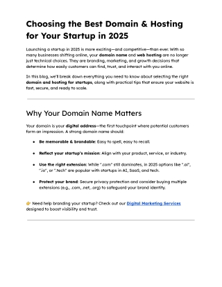 Choosing the Best Domain & Hosting for Your Startup in 2025