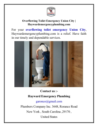 Overflowing Toilet Emergency Union City  Haywardemergencyplumbing