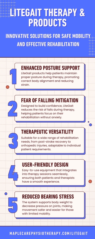 LiteGait LiteGait Therapy  LiteGait Products