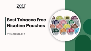 Why Choose the Best Tobacco Free Nicotine Pouches?