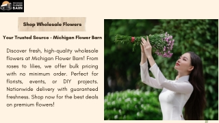 Shop Wholesale Flowers at Michigan Flower Barn – Fresh, Affordable Blooms