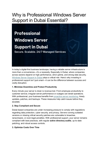 Why is Professional Windows Server Support in Dubai Essential (1)